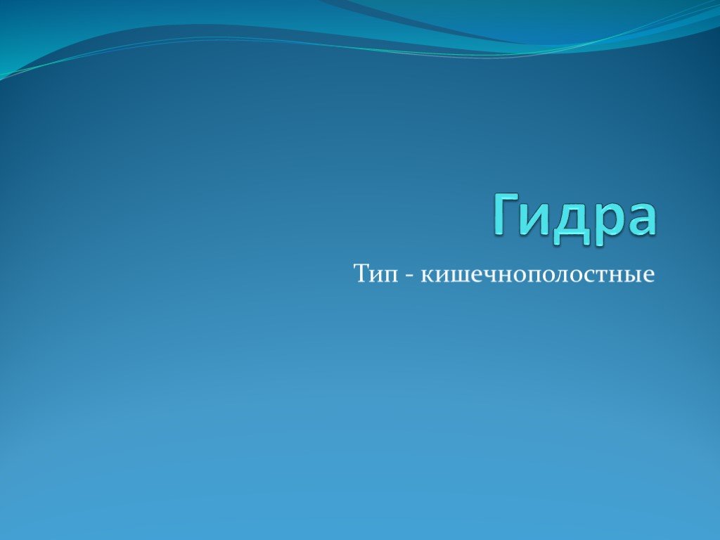 Кракен топ