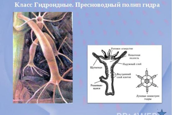Кракен маркет только через тор скачать